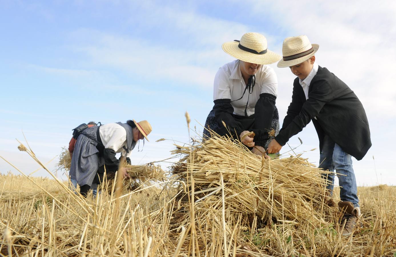 Nava del Rey recrea la siega a mano