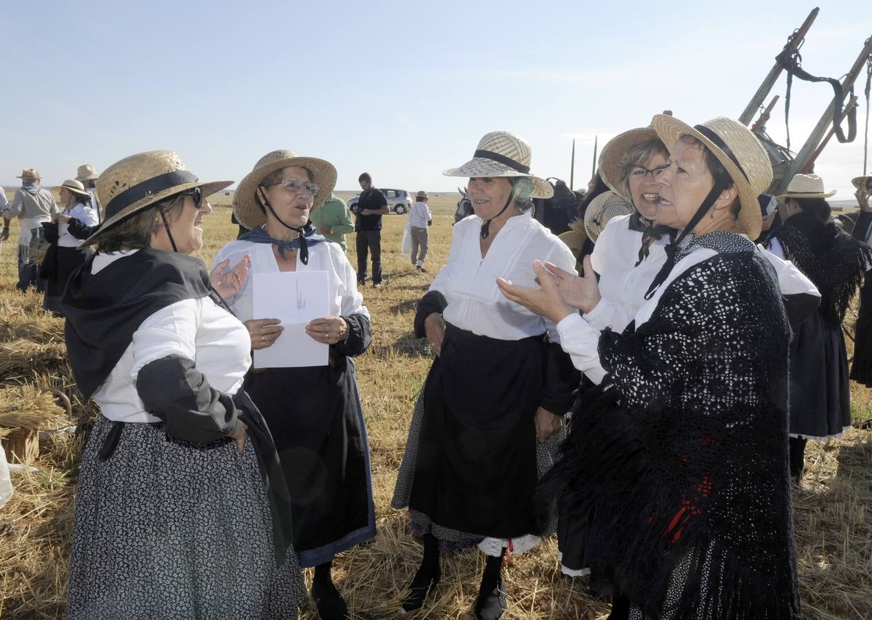Nava del Rey recrea la siega a mano