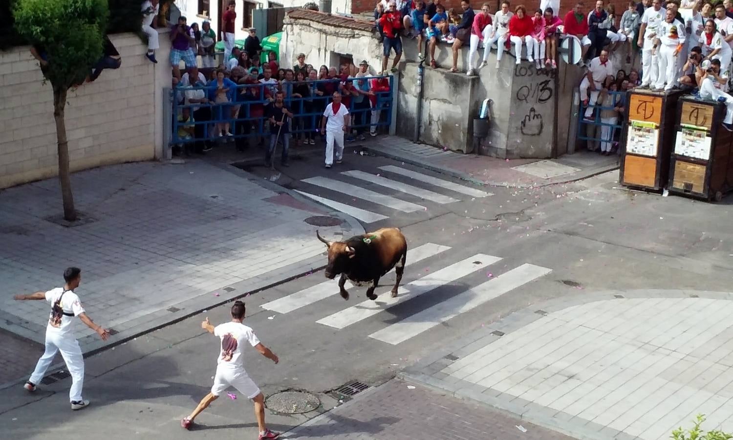 Celebración del segundo día festivo en Íscar