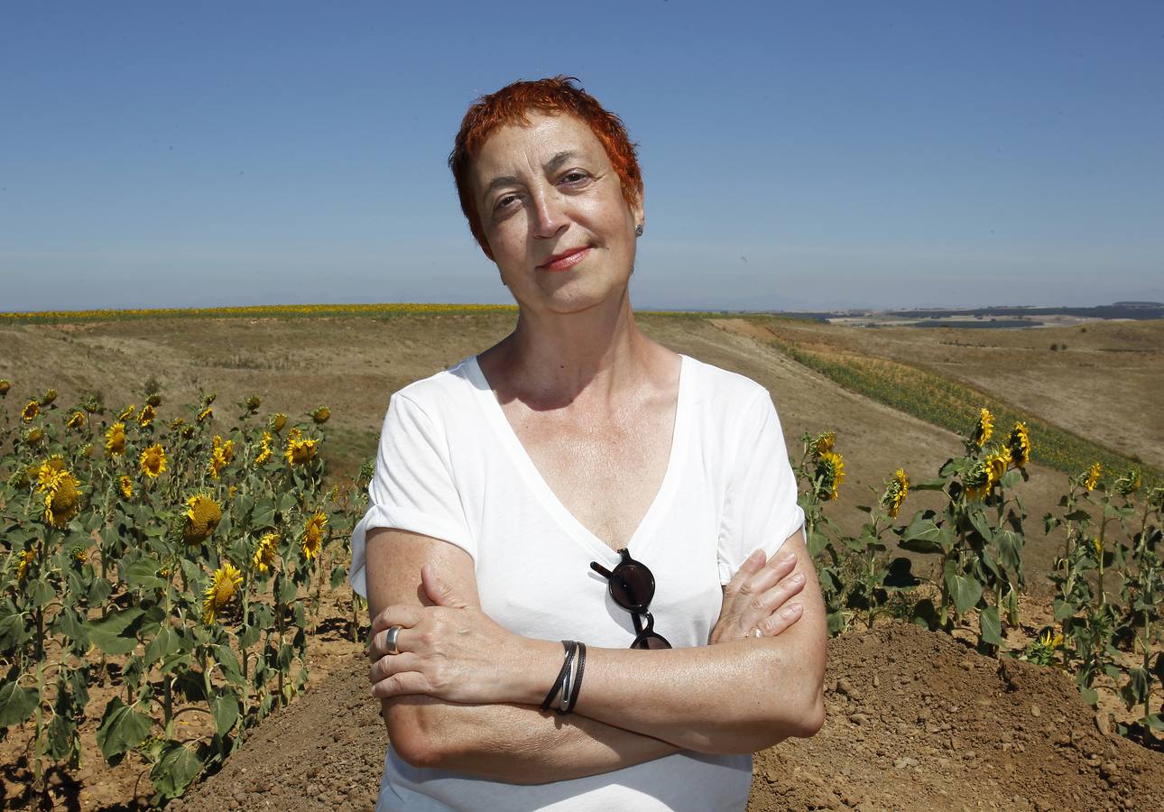 Campaña de excavaciones en el yacimiento arqueológico de Dessobriga (Palencia)