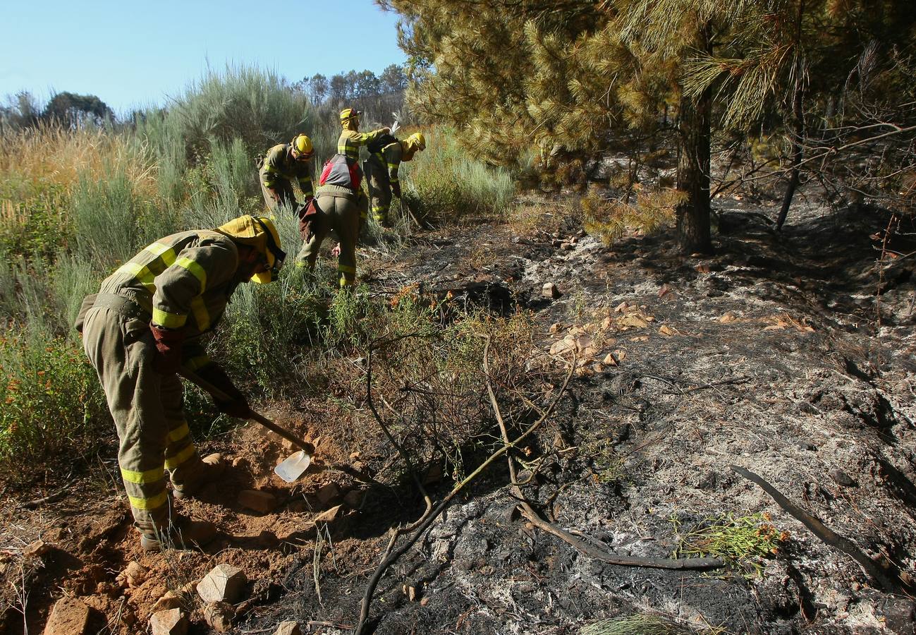 Labores de extinción del incendio de San Andrés de Montejos