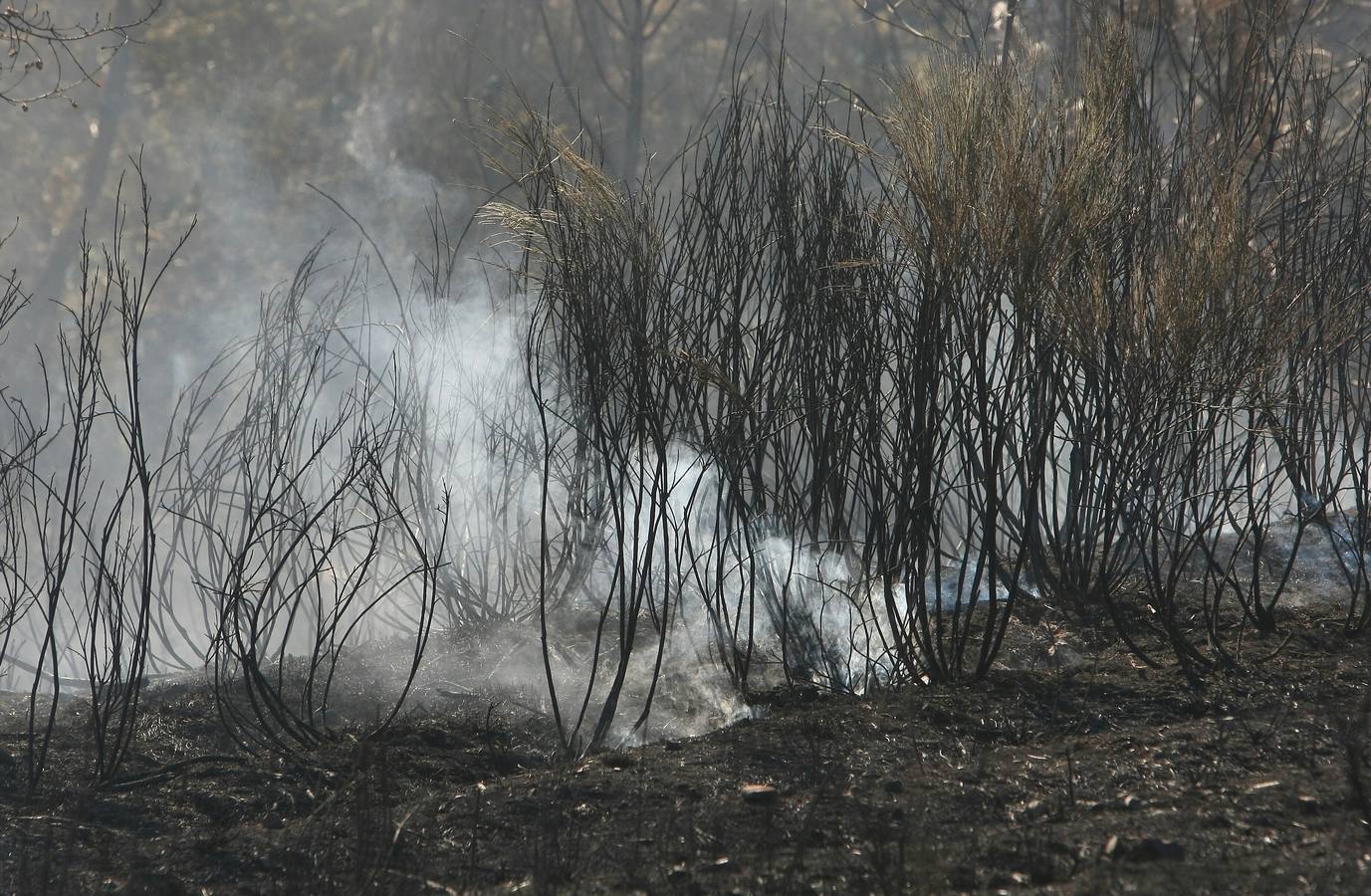 Labores de extinción del incendio de San Andrés de Montejos