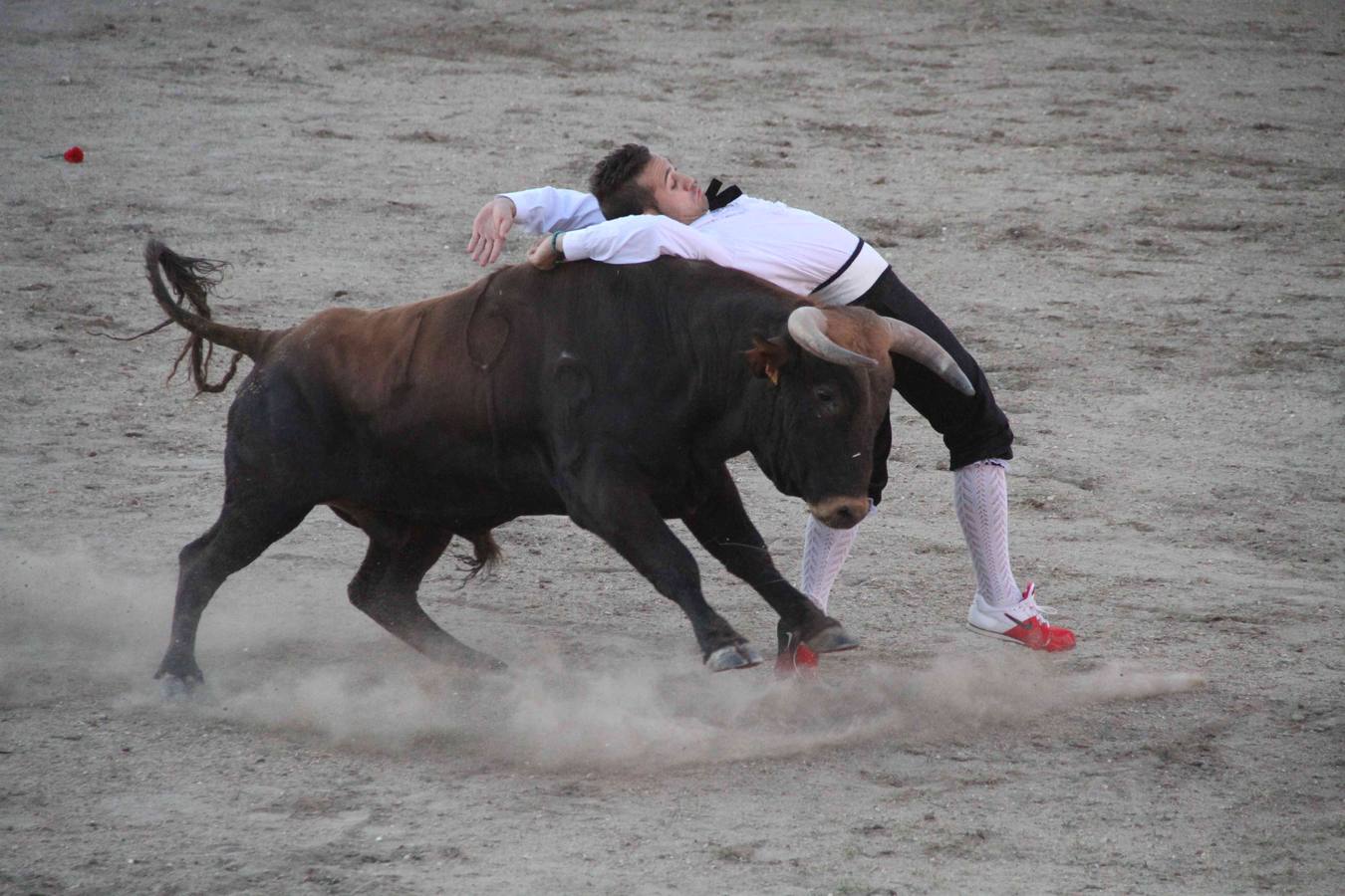 Concurso de cortes de Campaspero (Valladolid)