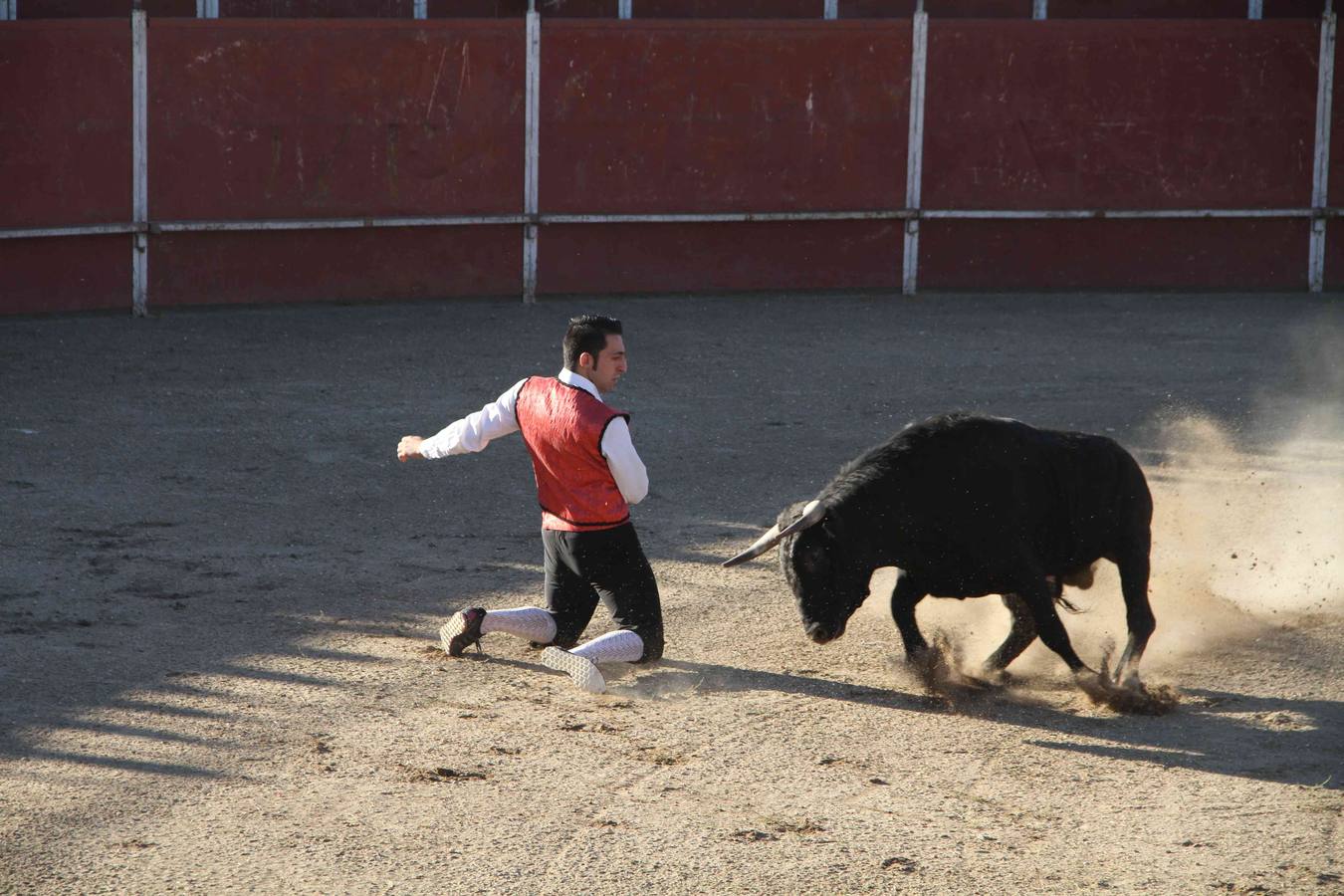 Concurso de cortes de Campaspero (Valladolid)