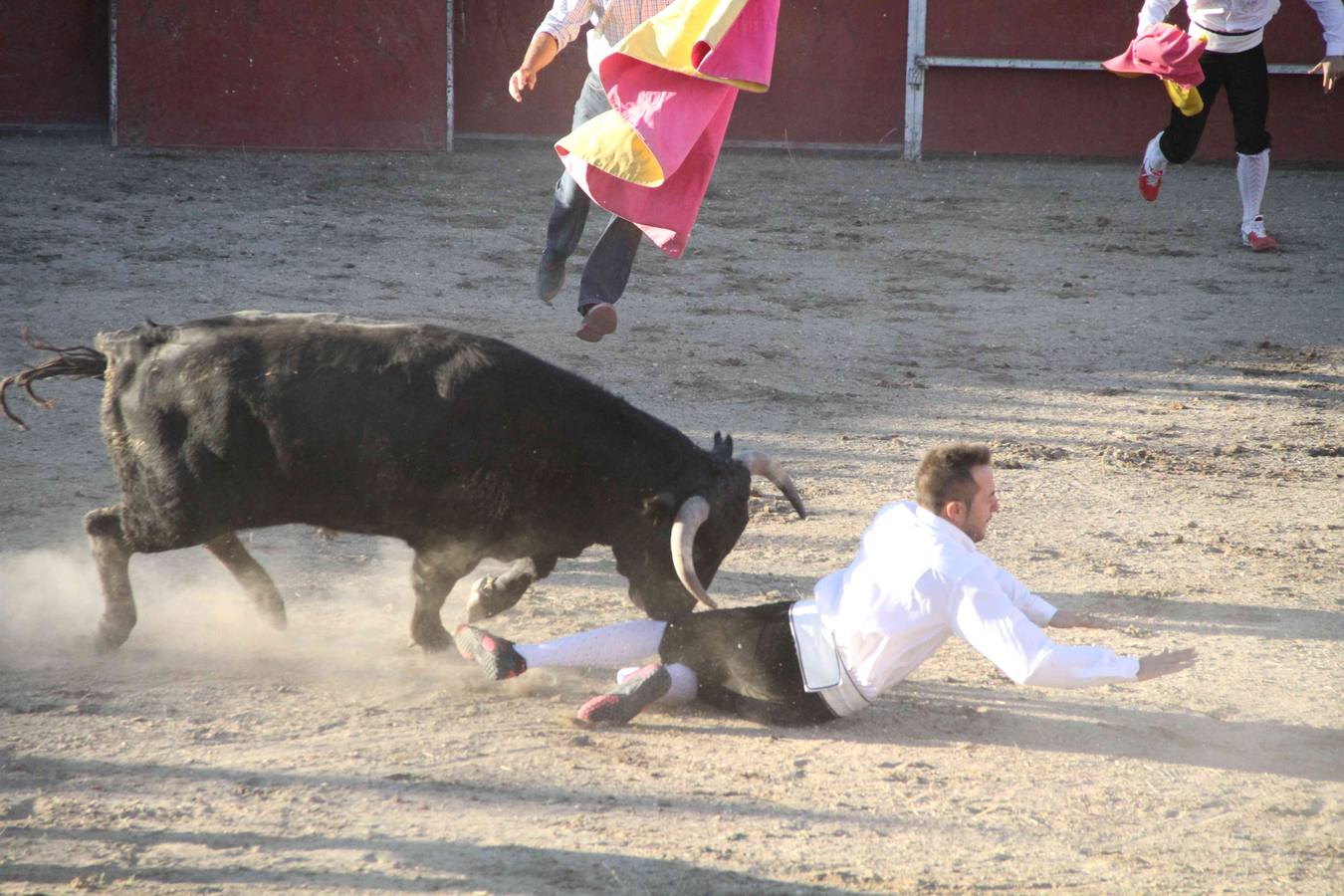 Concurso de cortes de Campaspero (Valladolid)