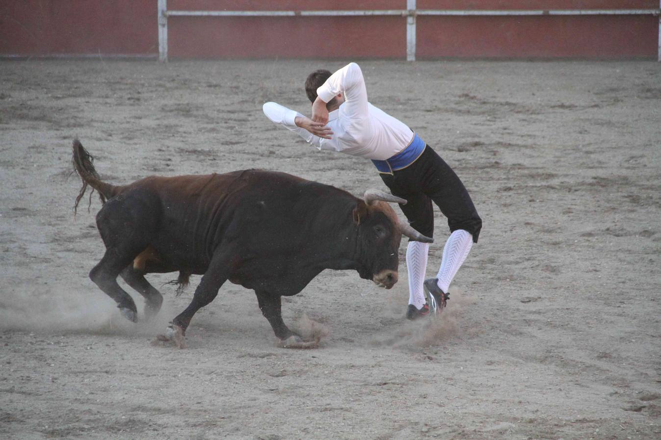Concurso de cortes de Campaspero (Valladolid)