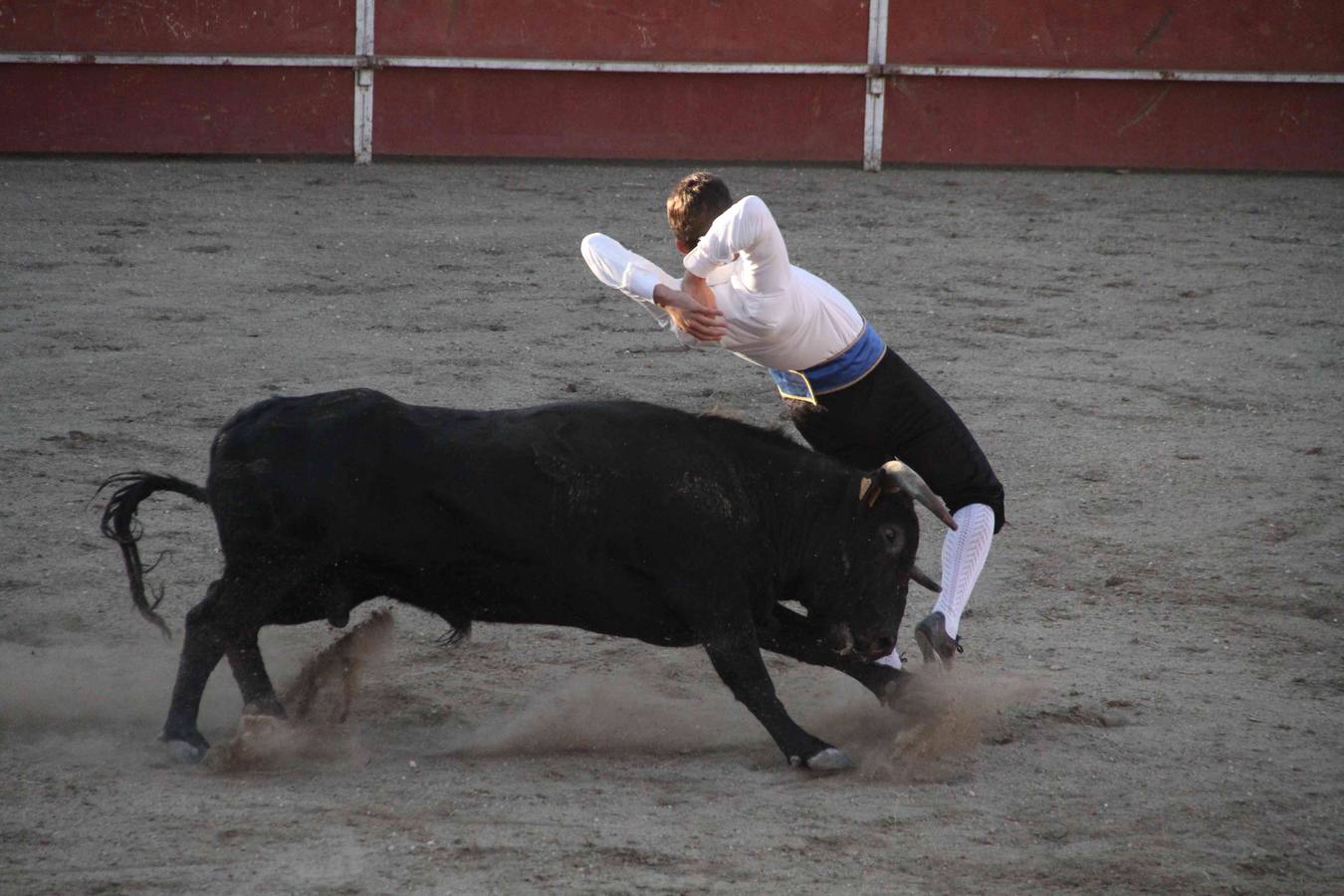 Concurso de cortes de Campaspero (Valladolid)