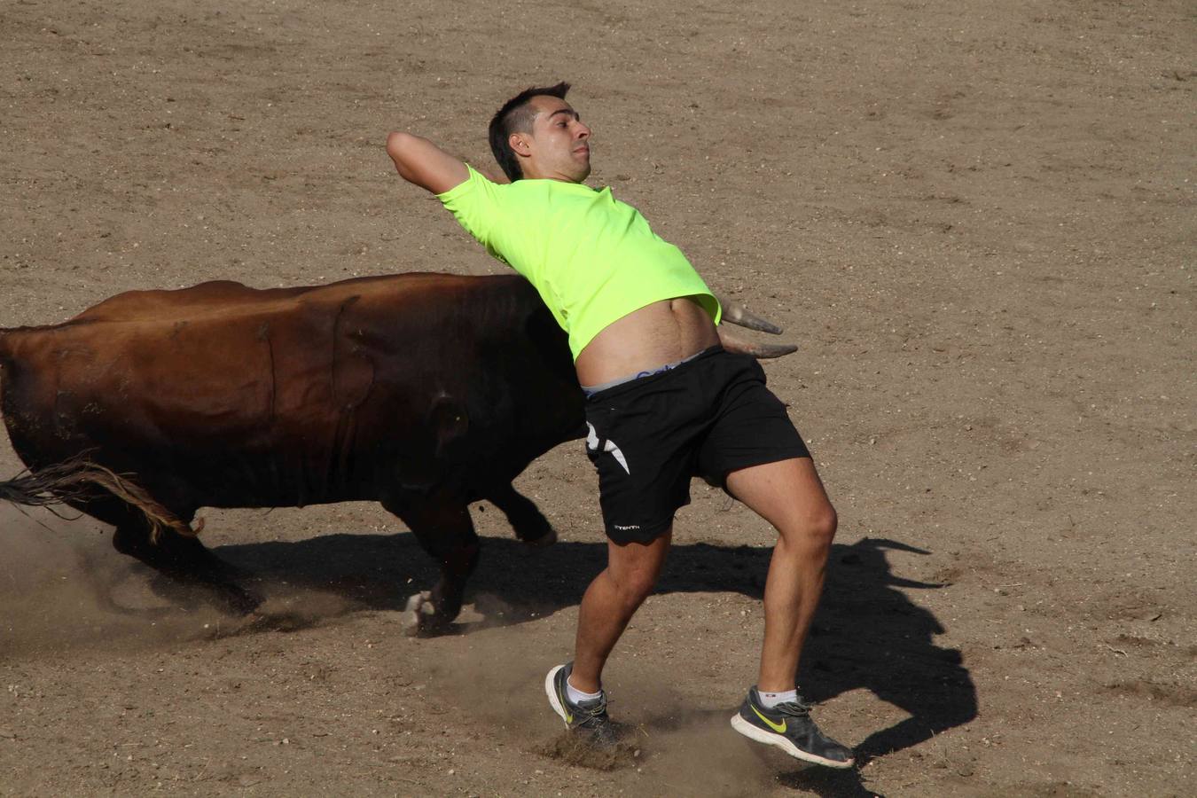 Toro del Páramo y capea matinal en las fiestas de Campaspero (1/2)