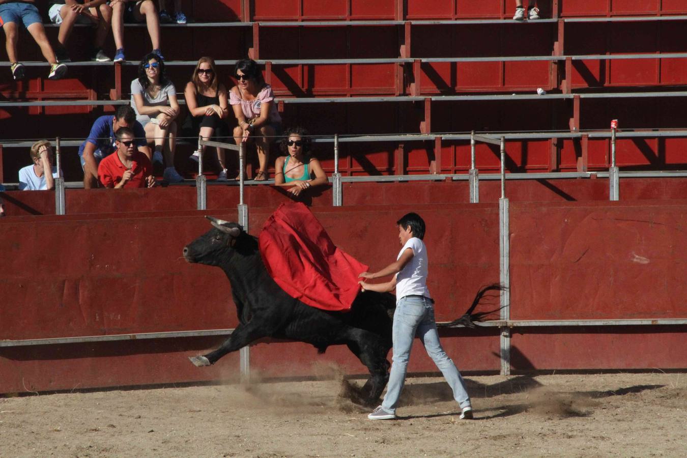 Toro del Páramo y capea matinal en las fiestas de Campaspero (1/2)