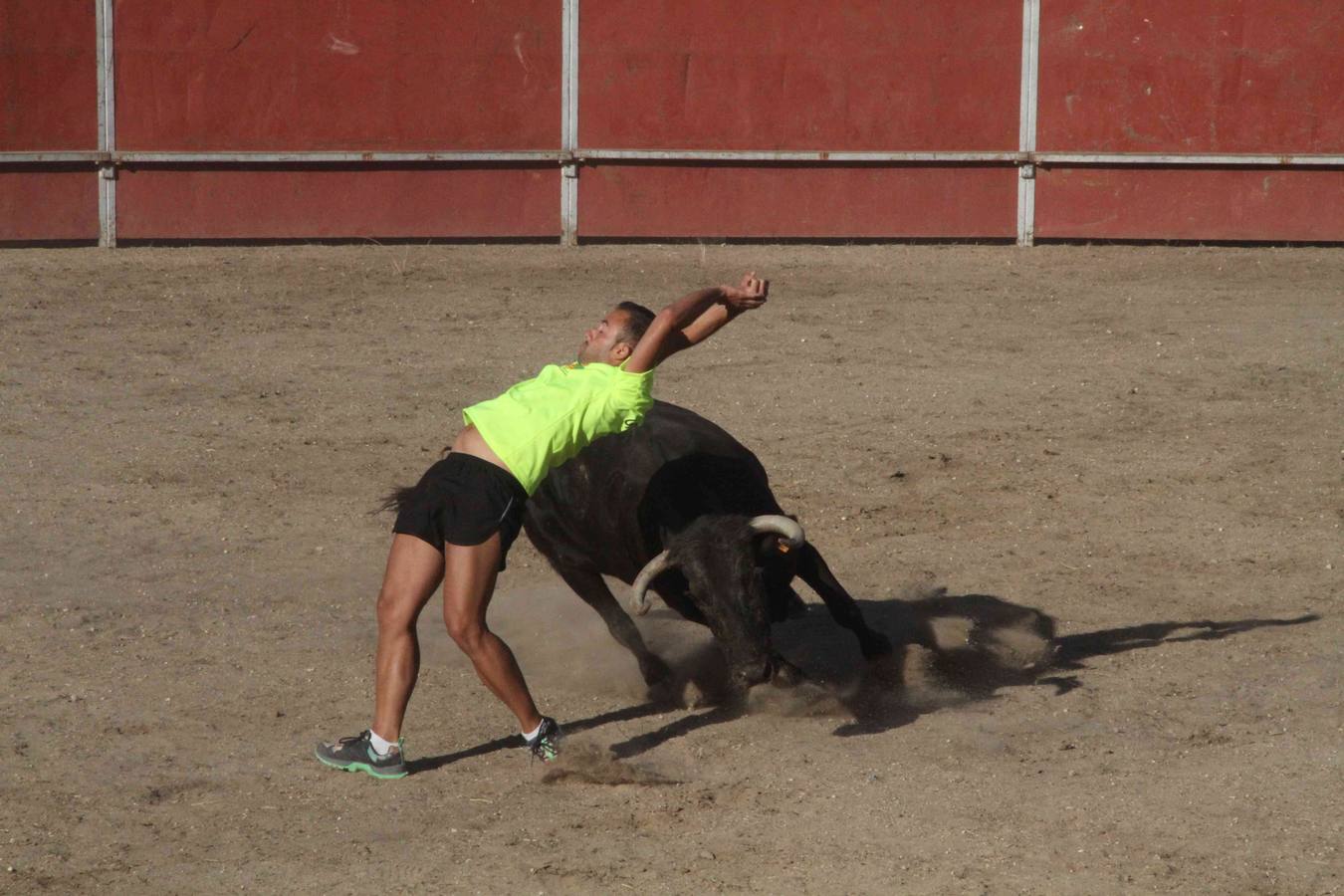 Toro del Páramo y capea matinal en las fiestas de Campaspero (1/2)