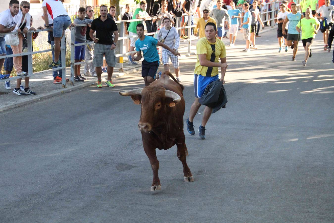 Toro del Páramo y capea matinal en las fiestas de Campaspero (2/2)