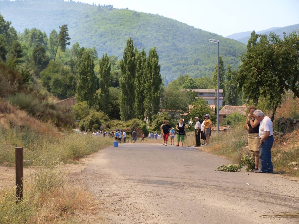 Incendio en Cepeda (Salamanca) 1/2