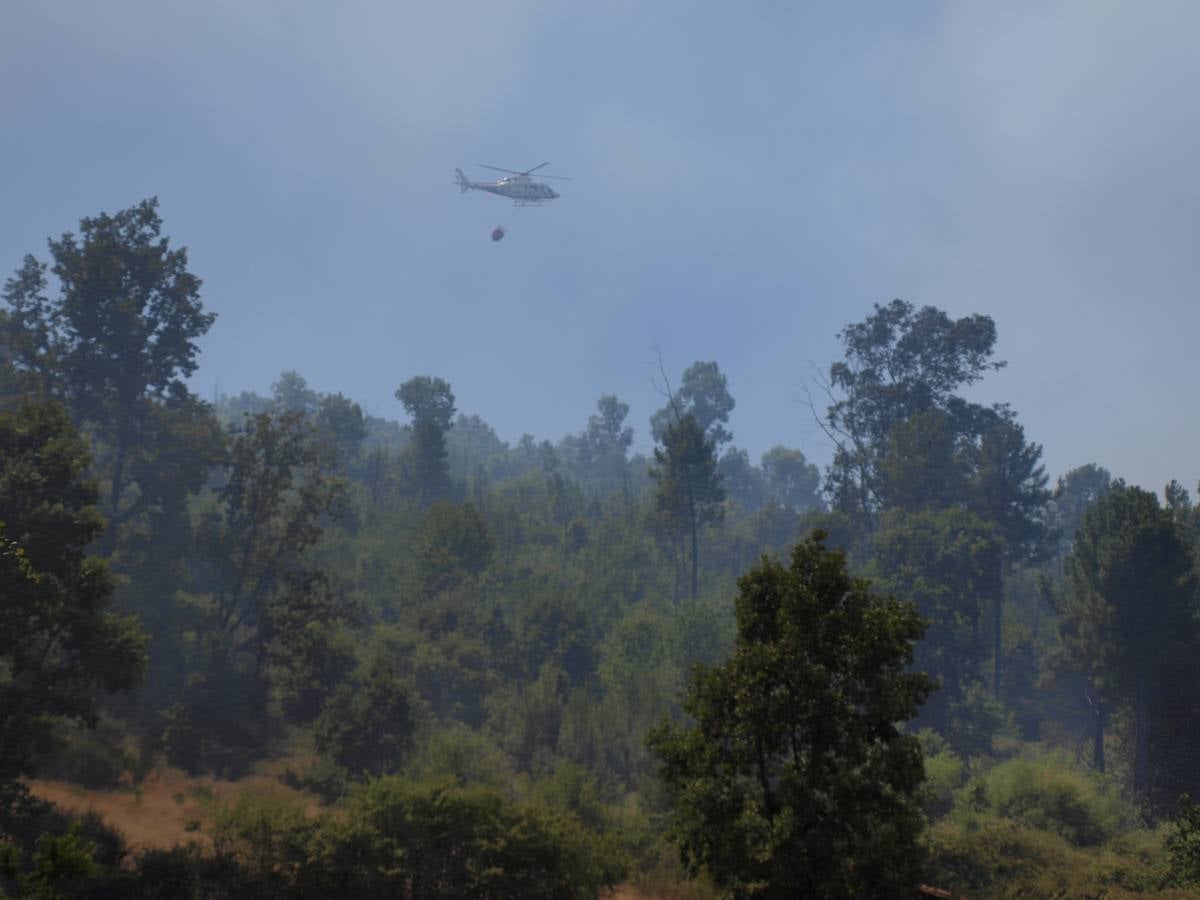 Incendio en Cepeda (Salamanca) 1/2