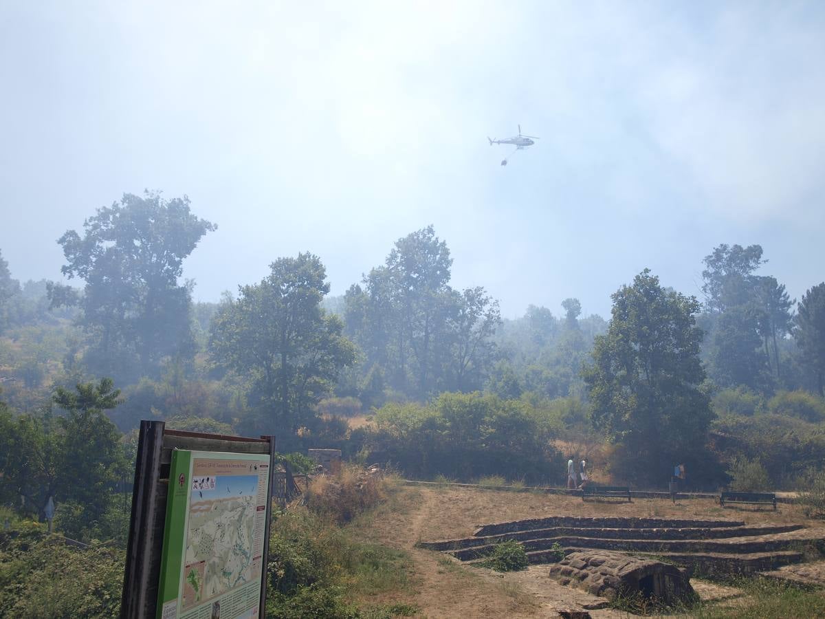 Incendio en Cepeda (Salamanca) 1/2