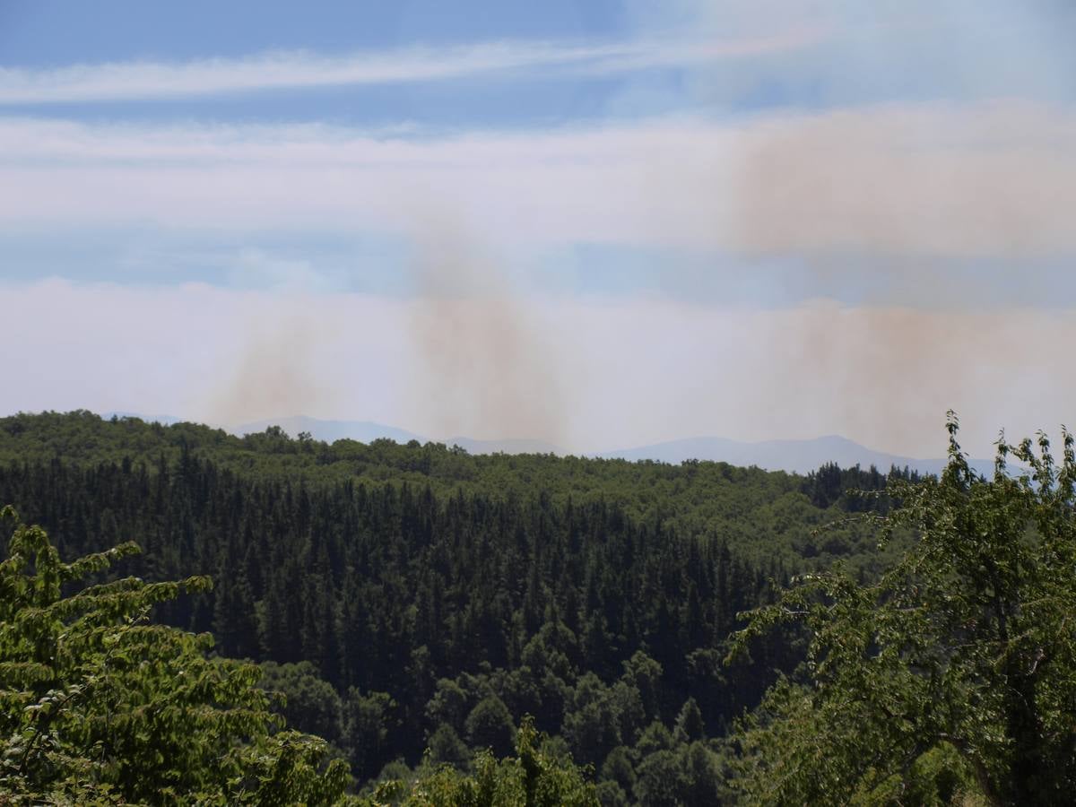 Incendio en Cepeda (Salamanca) 1/2