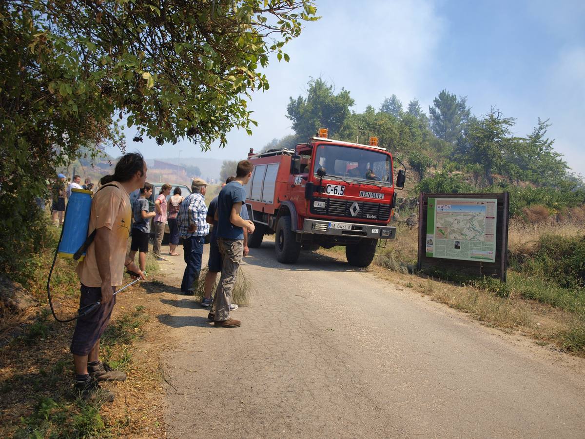 Incendio en Cepeda (Salamanca) 1/2