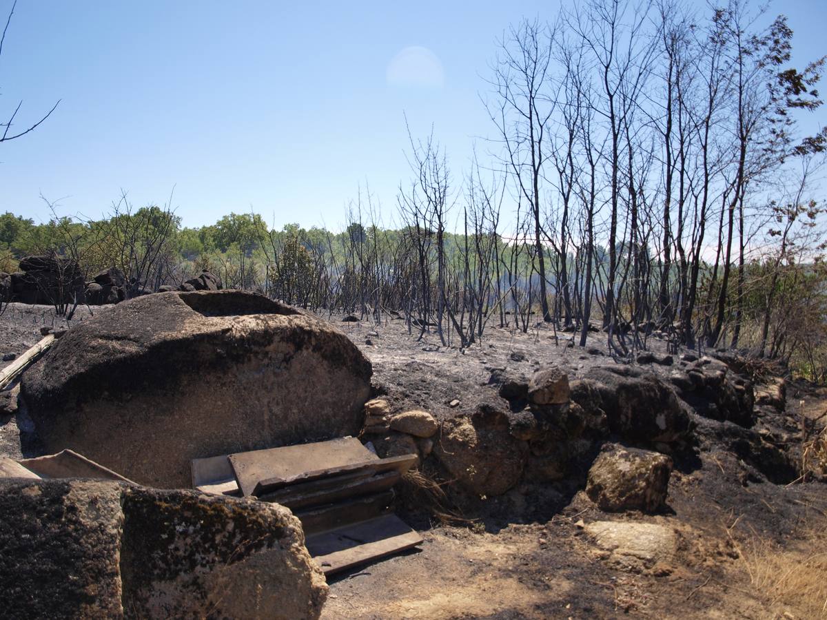 Incendio en Cepeda (Salamanca) 1/2