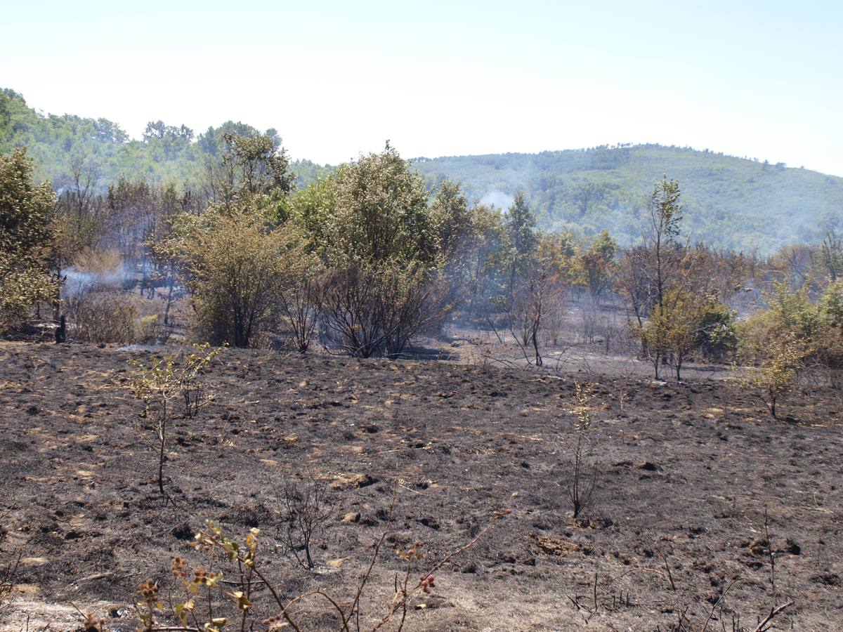 Incendio en Cepeda (Salamanca) 2/2