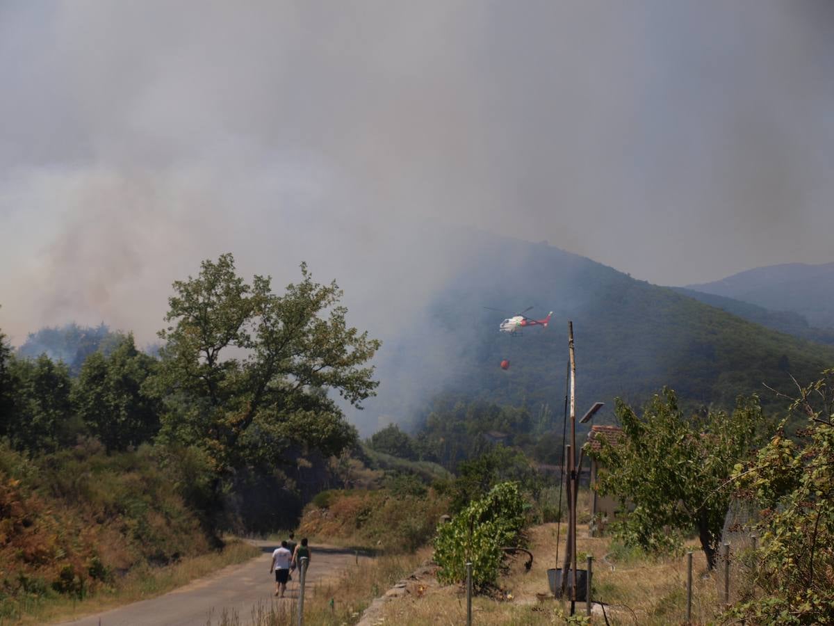 Incendio en Cepeda (Salamanca) 2/2