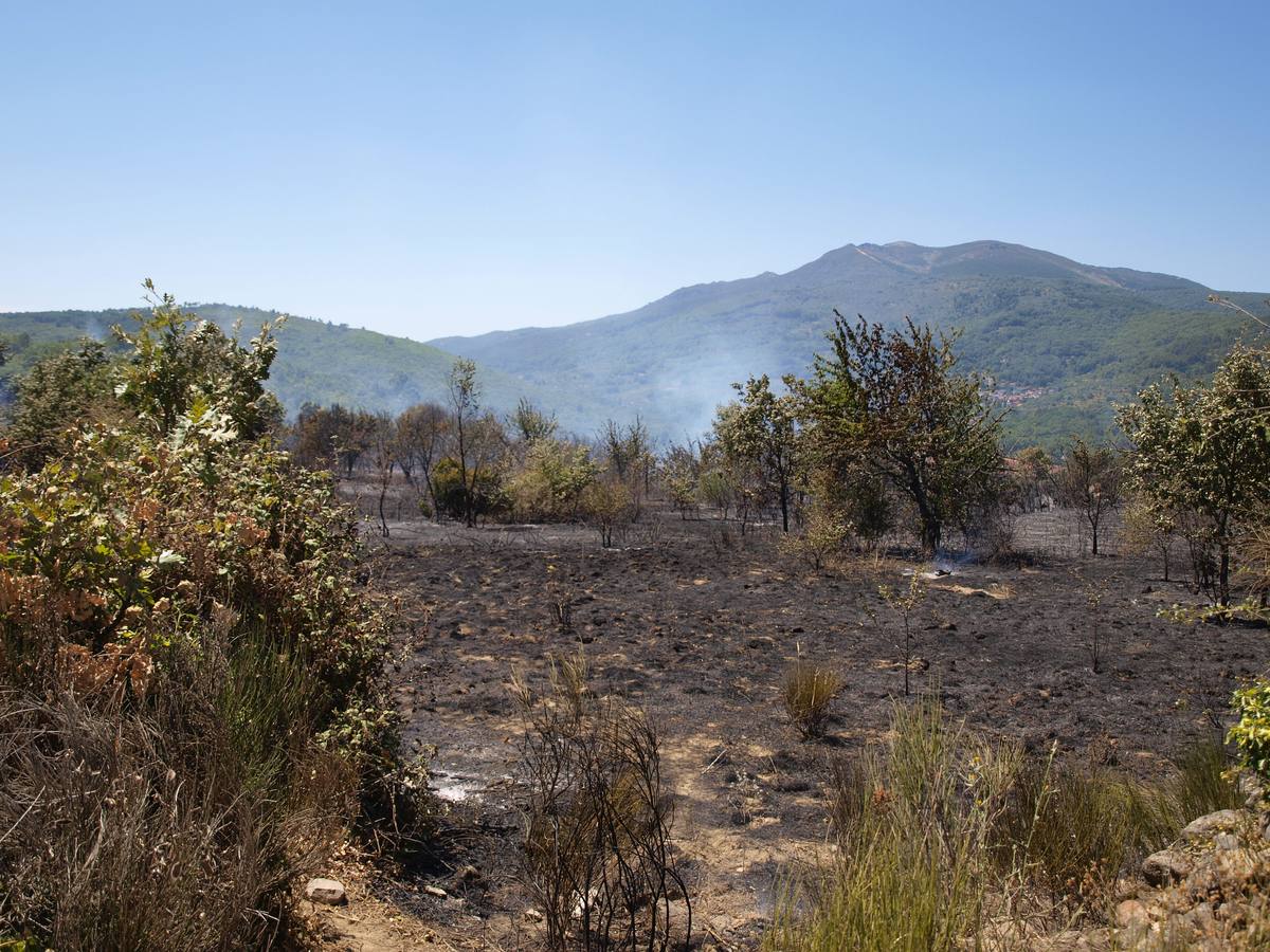 Incendio en Cepeda (Salamanca) 2/2