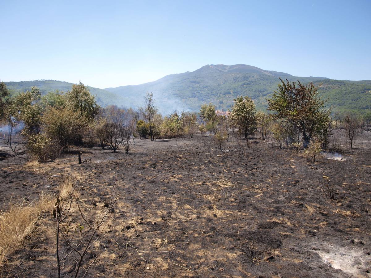 Incendio en Cepeda (Salamanca) 2/2