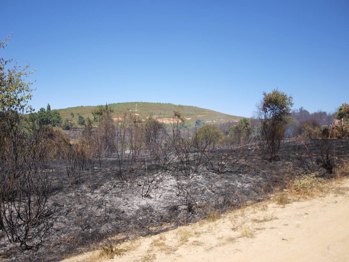 Incendio en Cepeda (Salamanca) 2/2