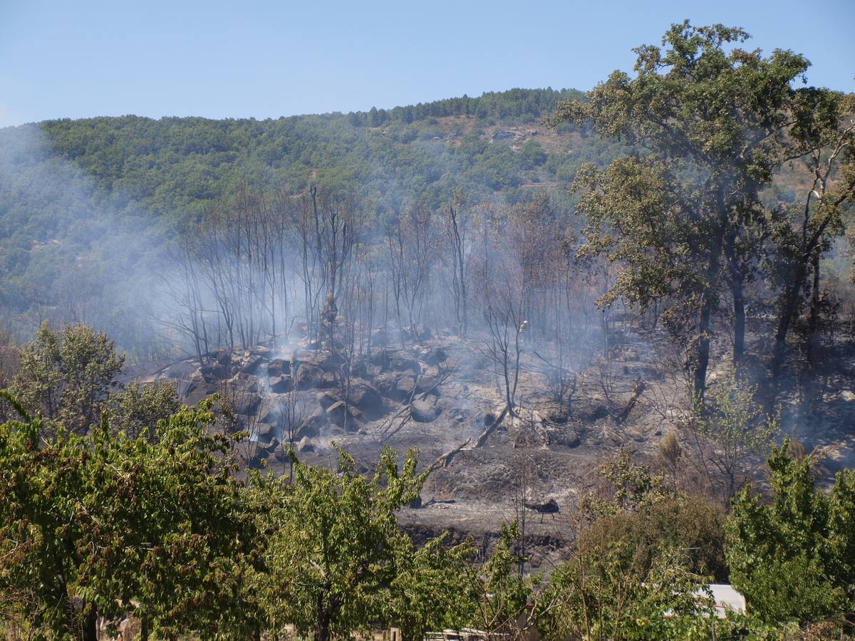 Incendio en Cepeda (Salamanca) 2/2