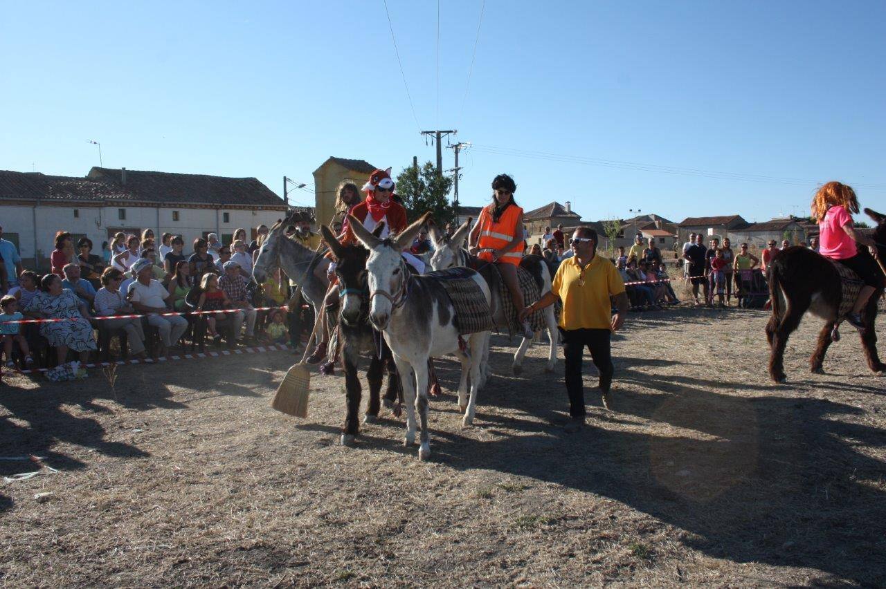 Burro-polo en Benafarces (Valladolid)