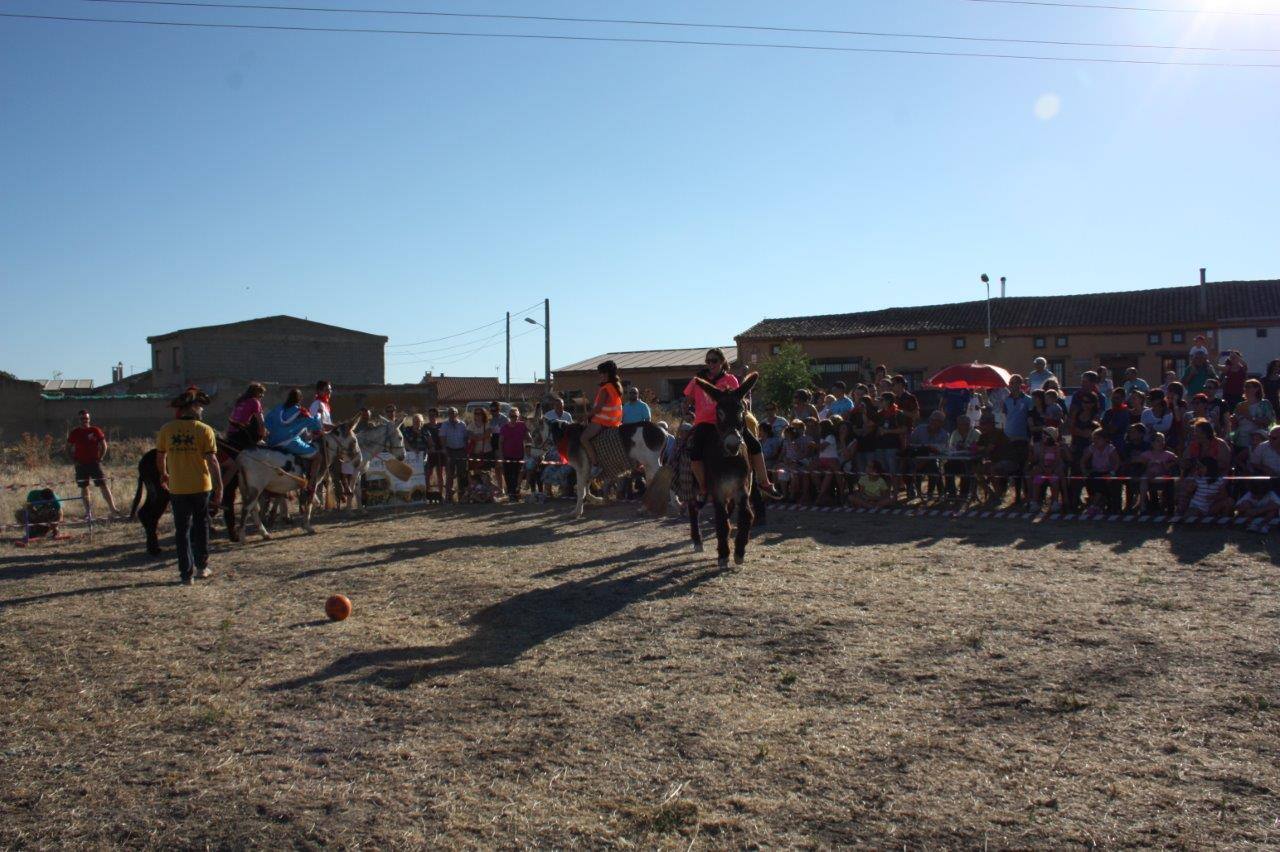 Burro-polo en Benafarces (Valladolid)
