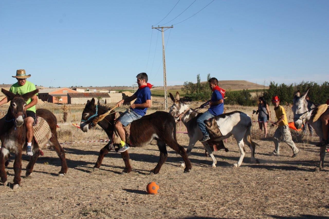 Burro-polo en Benafarces (Valladolid)