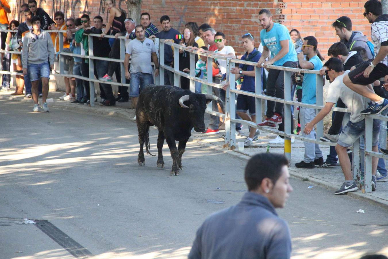 Encierro y capea en Campaspero (Valladolid) 1/2