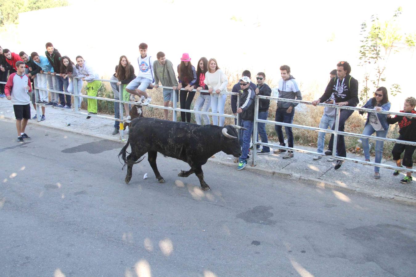 Encierro y capea en Campaspero (Valladolid) 1/2