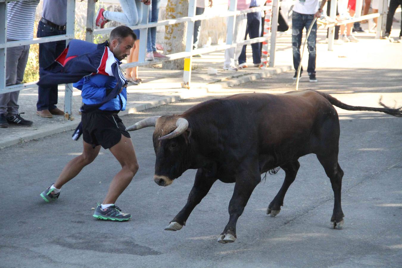Encierro y capea en Campaspero (Valladolid) 1/2