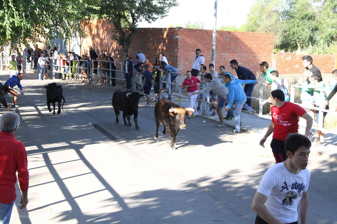 Encierro y capea en Campaspero (Valladolid) 1/2