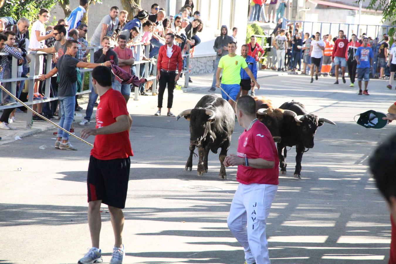 Encierro y capea en Campaspero (Valladolid) 2/2