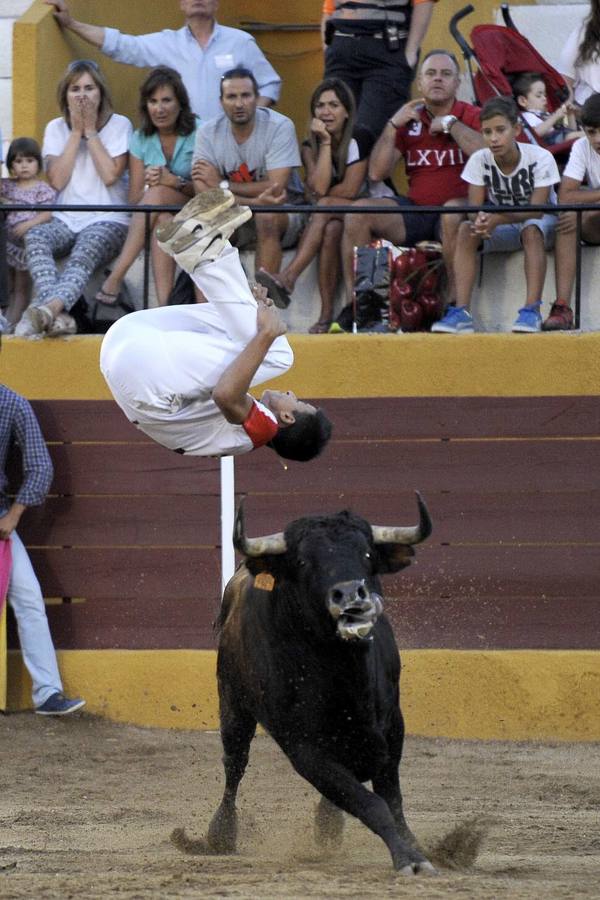Pollos. Concurso de cortes.