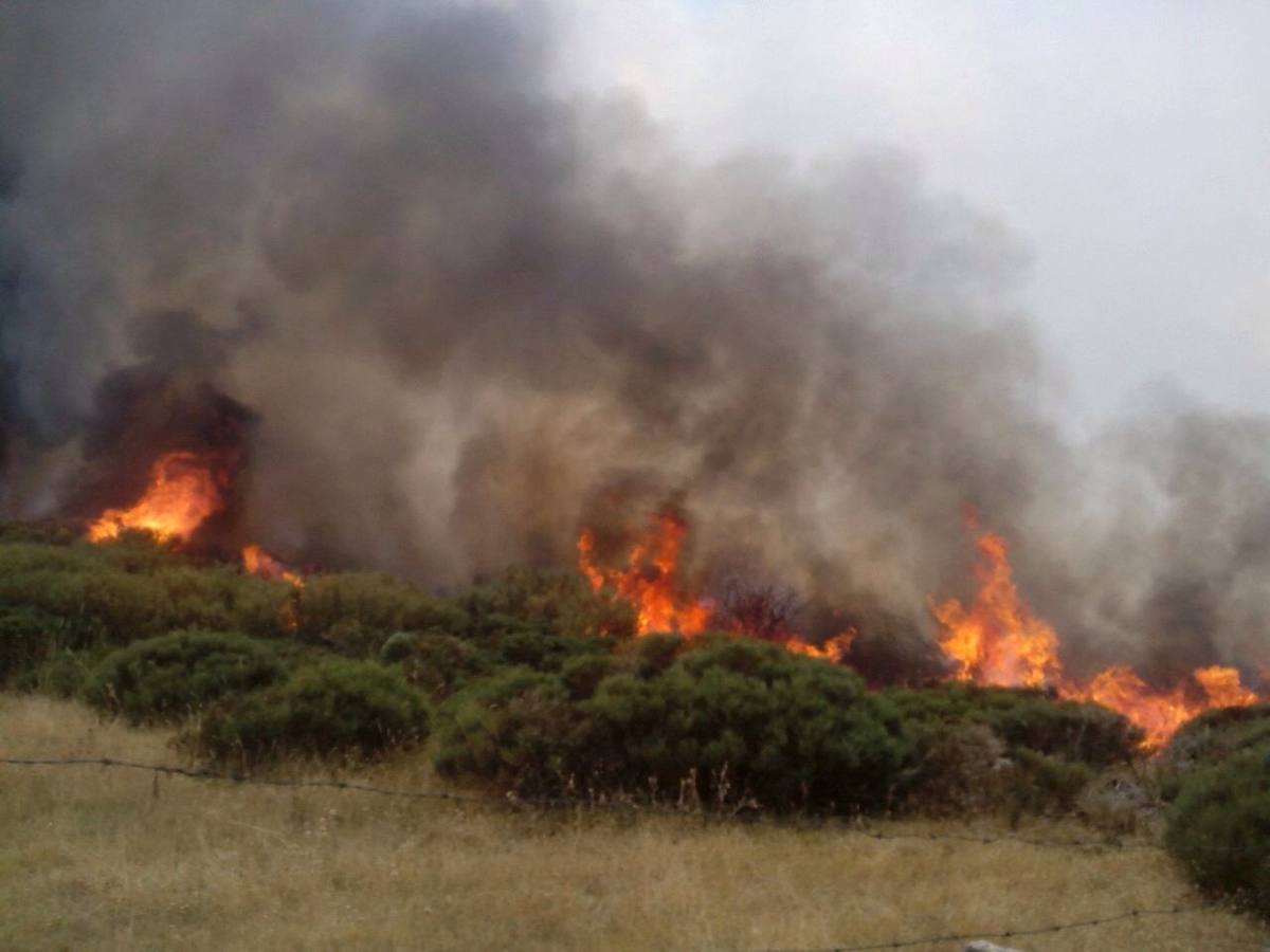 Labores de extinción del incendio declarado en Candeleda (Ávila)