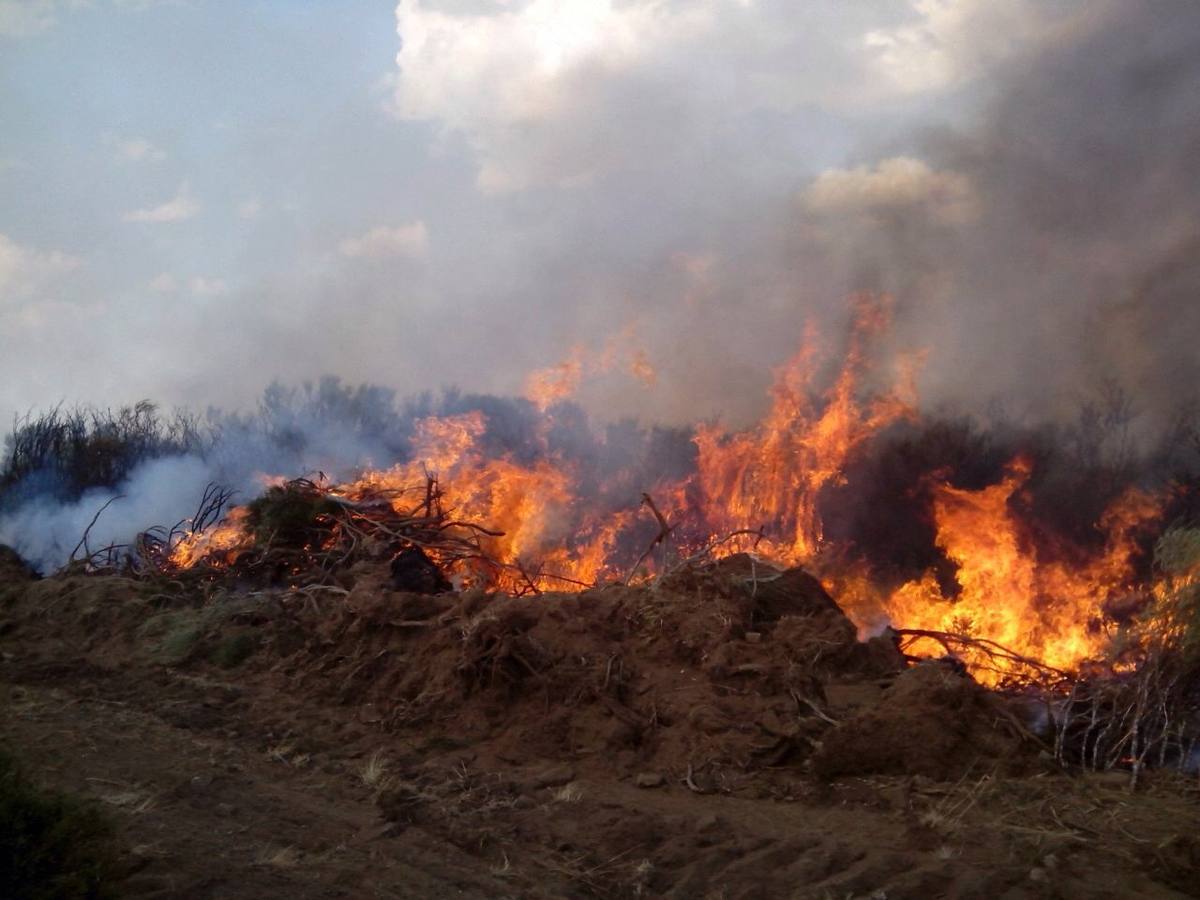 Labores de extinción del incendio declarado en Candeleda (Ávila)