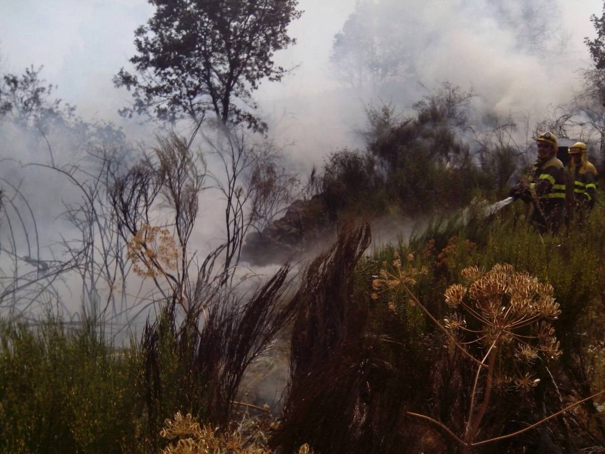 Labores de extinción del incendio declarado en Candeleda (Ávila)