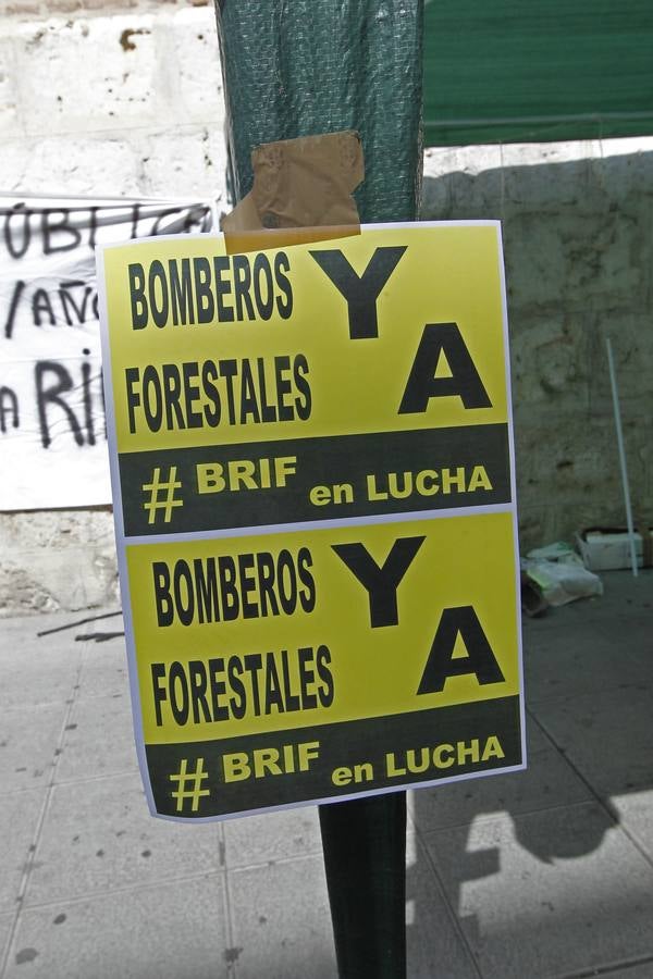 Brigadistas forestales recogen firmas en la calle Santiago de Valladolid