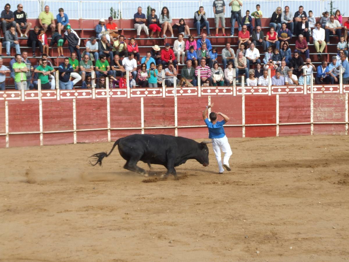 Exhibición de recortes en Cantalpino