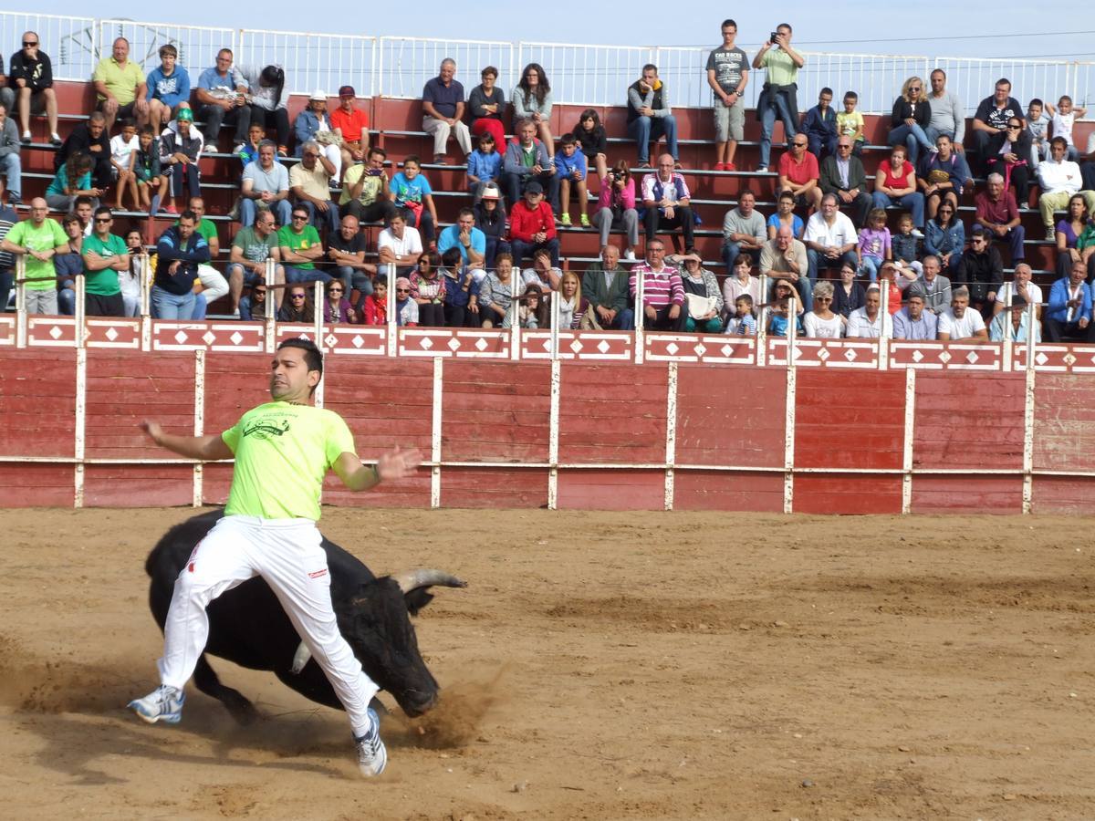 Exhibición de recortes en Cantalpino