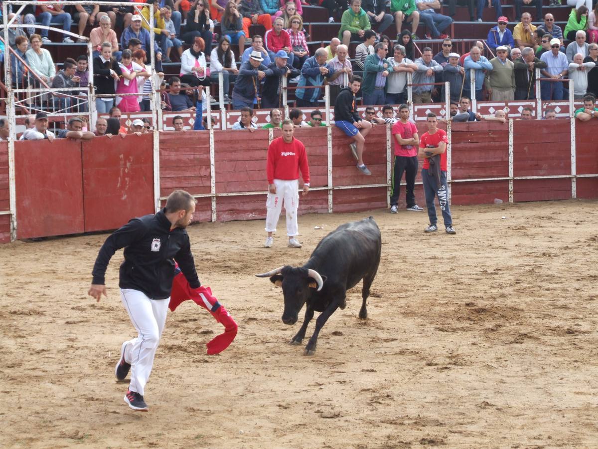 Exhibición de recortes en Cantalpino