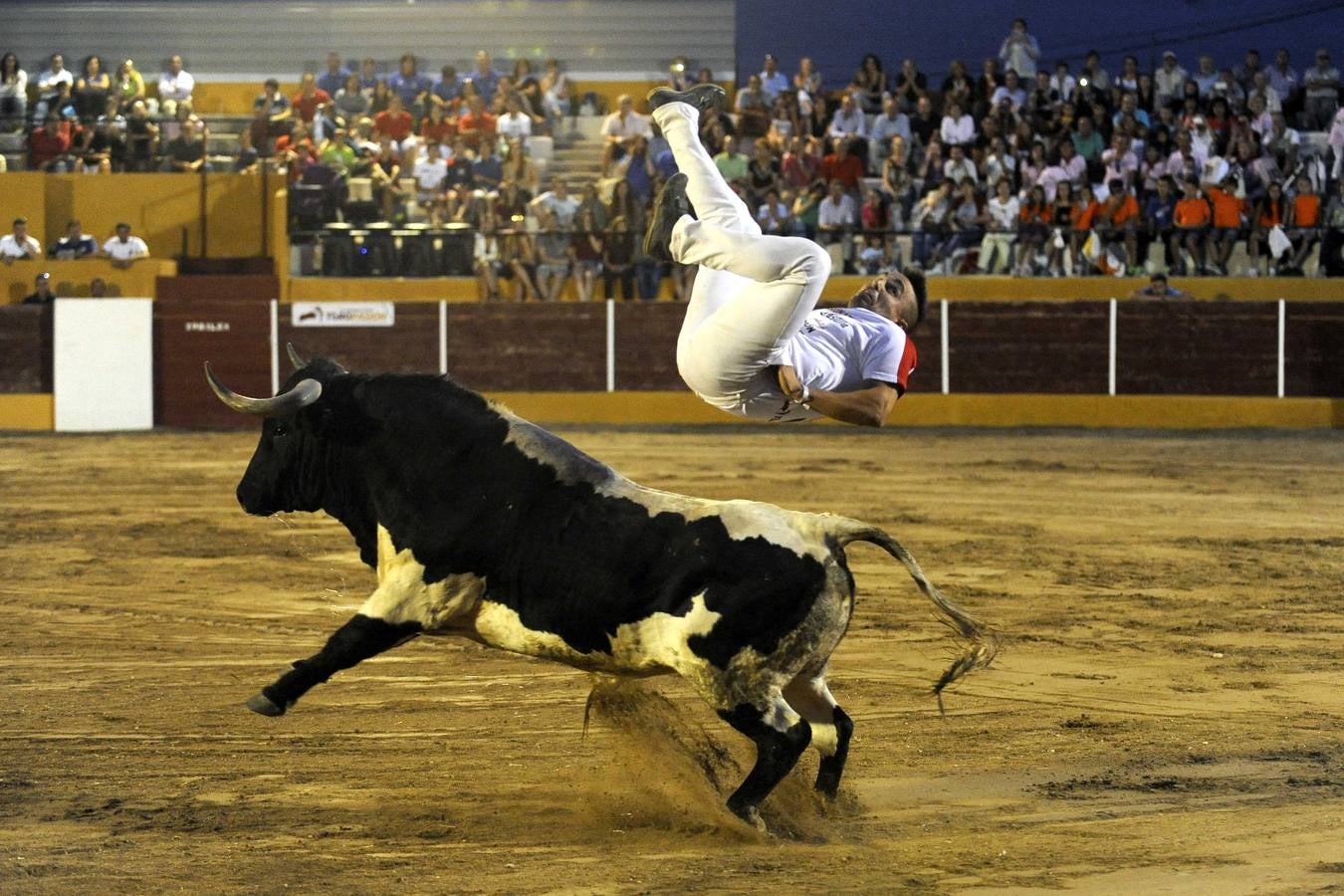 Concurso de Cortes en Pollos