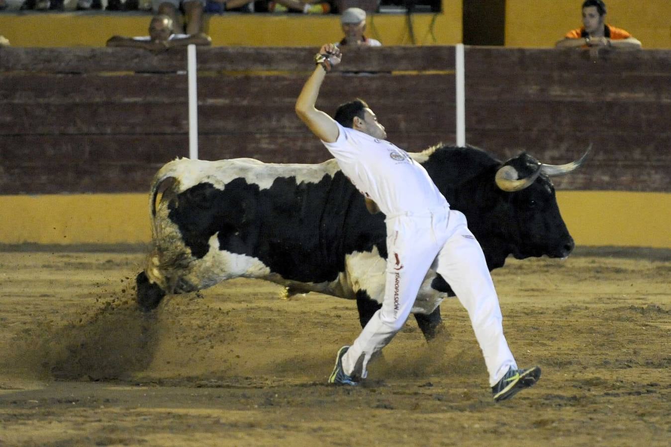 Concurso de Cortes en Pollos