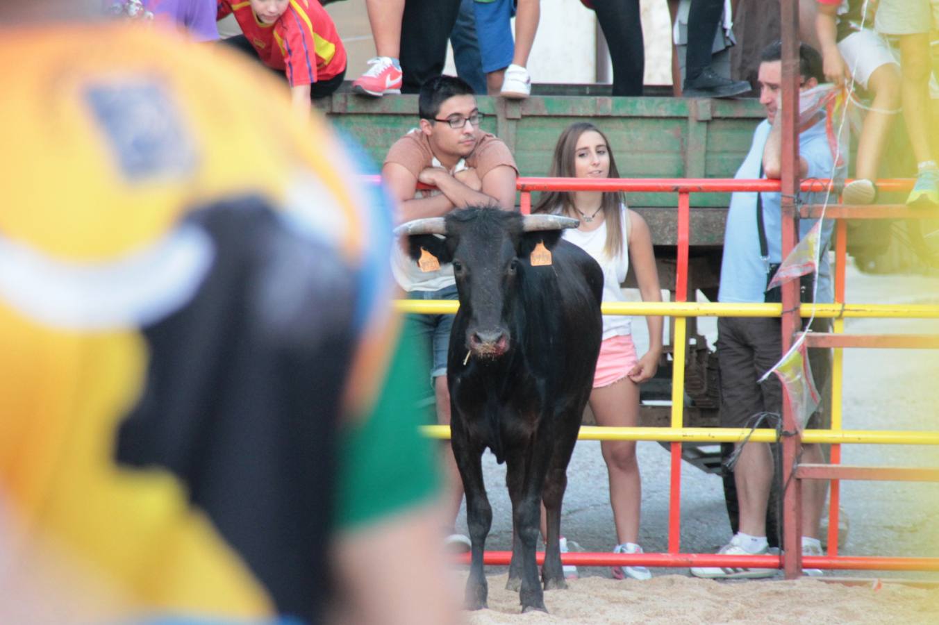 Primer encierro de las fiestas de Ciguñuela