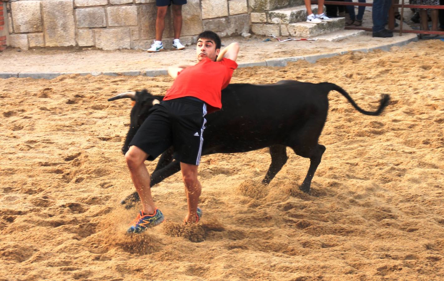 Segundo encierro de las fiestas de Ciguñuela