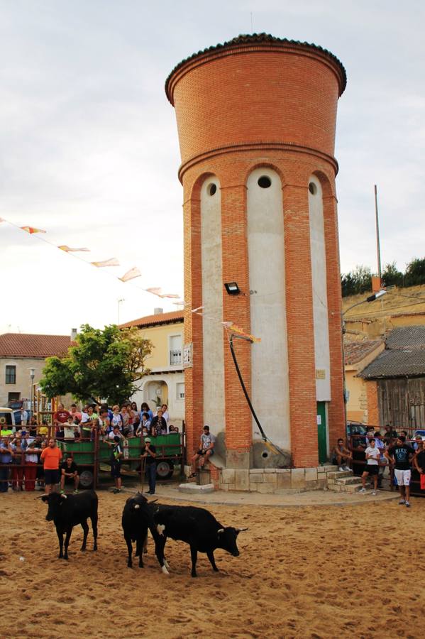 Segundo encierro de las fiestas de Ciguñuela