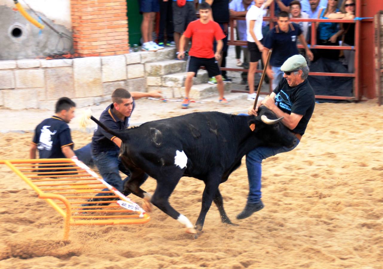 Segundo encierro de las fiestas de Ciguñuela