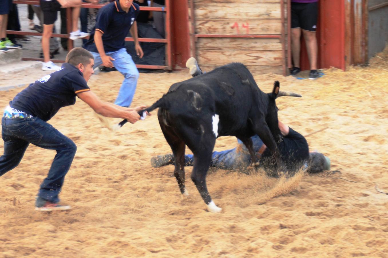 Segundo encierro de las fiestas de Ciguñuela